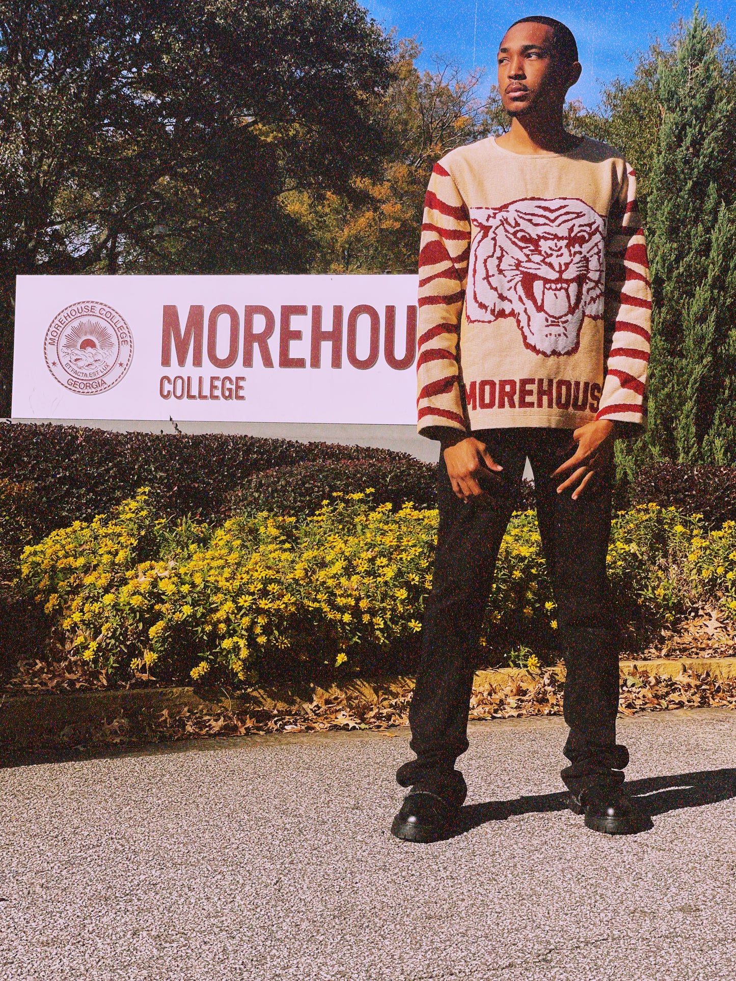 Morehouse Tapestry Sweater